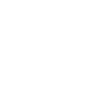 boss transparent